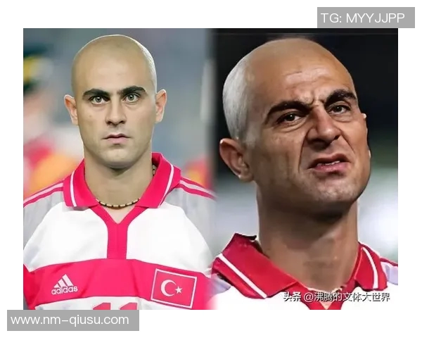 全球足球球星按位置分布分析各位置明星球员数量与影响力对比